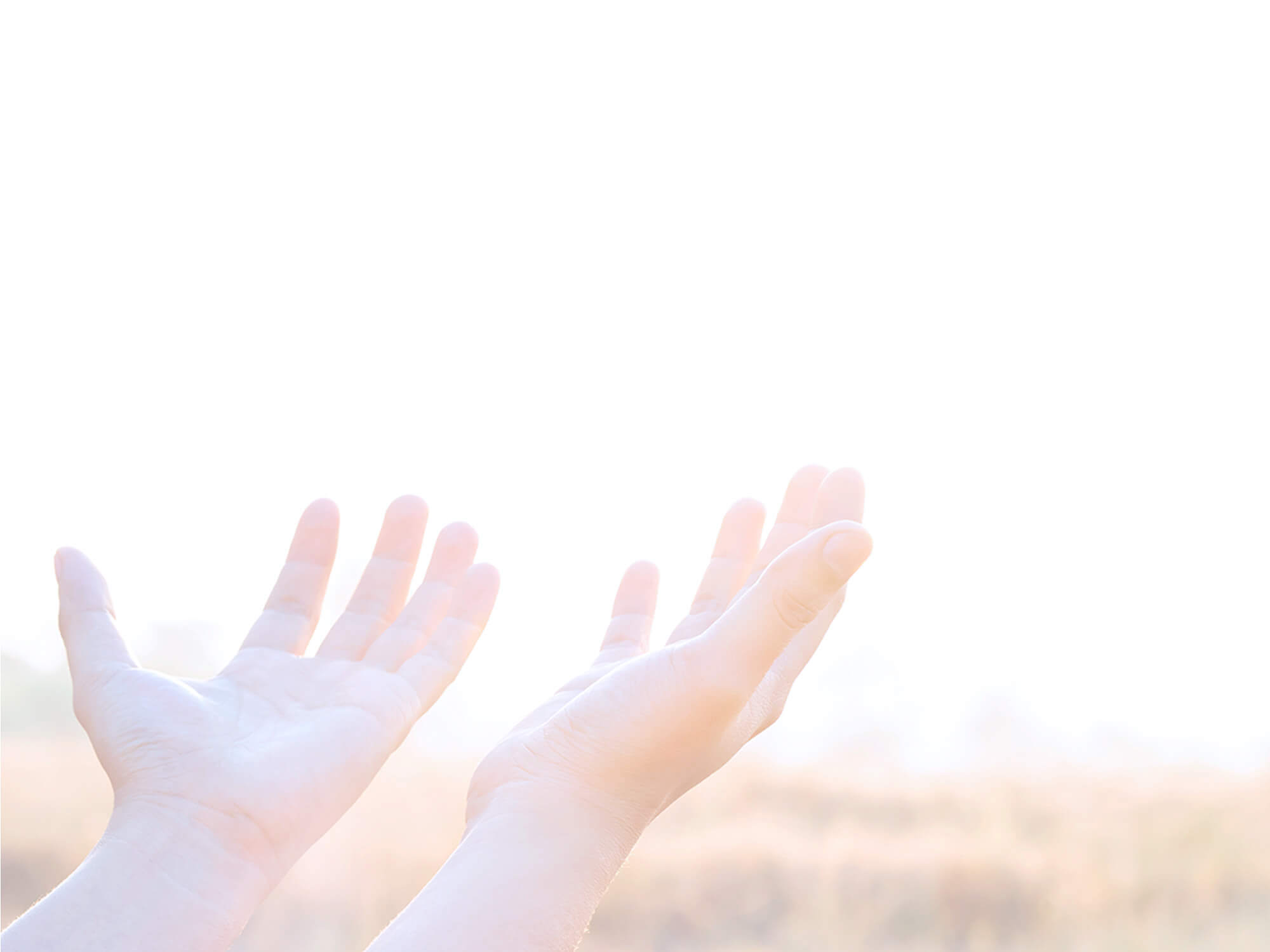 vision_03